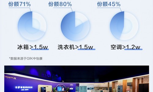 行业下滑，卡萨帝TOP1份额再登顶：高端市场的蛋糕正在重新切